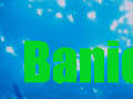 Banionline.net Web Directory pentru bani online